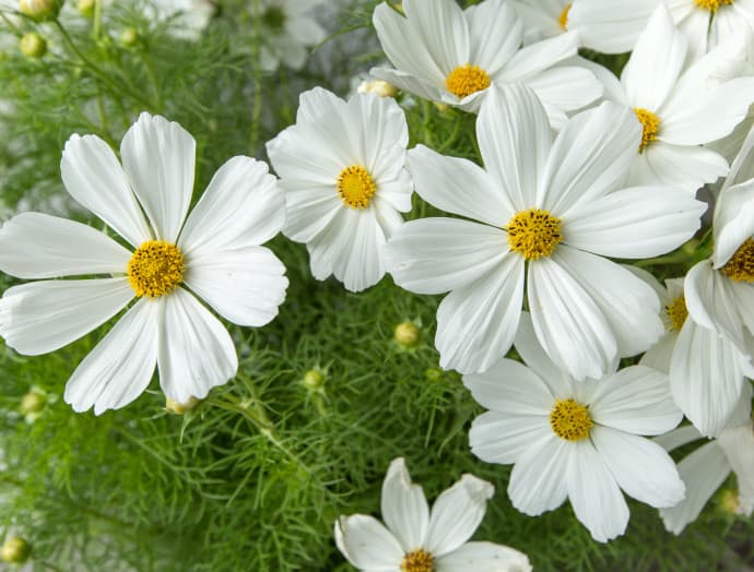 familienurlaub blumen familienhotel mateera sommer winter